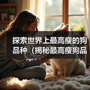 探索世界上最高瘦的狗品种(揭秘最高瘦狗品种的外貌和特征)(图4) 探索世界上最高瘦的狗品种(揭秘最高瘦狗品种的外貌和特征)(图4)
