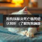 狗狗胰腺炎死亡临死症状解析(了解狗狗胰腺炎临死前的表现与处理方法)(图4) 狗狗胰腺炎死亡临死症状解析(了解狗狗胰腺炎临死前的表现与处理方法)(图4)