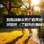 狗狗胰腺炎死亡临死症状解析(了解狗狗胰腺炎临死前的表现与处理方法)(图2) 狗狗胰腺炎死亡临死症状解析(了解狗狗胰腺炎临死前的表现与处理方法)(图2)