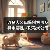 以马犬公母鉴别方法及其重要性(以马犬公母如何区分及其在养殖中的应用)(图2) 以马犬公母鉴别方法及其重要性(以马犬公母如何区分及其在养殖中的应用)(图2)