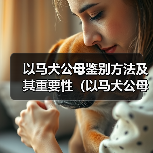 以马犬公母鉴别方法及其重要性(以马犬公母如何区分及其在养殖中的应用)(图3) 以马犬公母鉴别方法及其重要性(以马犬公母如何区分及其在养殖中的应用)(图3)