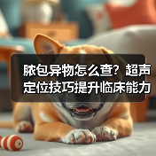 脓包异物怎么查?超声定位技巧提升临床能力(图1) 脓包异物怎么查?超声定位技巧提升临床能力(图1)