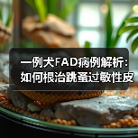 一例犬FAD病例解析:如何根治跳蚤过敏性皮炎?(图4) 一例犬FAD病例解析:如何根治跳蚤过敏性皮炎?(图4)