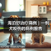 海泊舒治疗病例 | 一例犬咬伤的病例报告