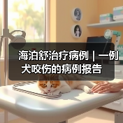 海泊舒治疗病例 | 一例犬咬伤的病例报告(图3) 海泊舒治疗病例 | 一例犬咬伤的病例报告(图3)