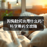 狗狗趾间炎用什么药?科学用药全攻略(图4) 狗狗趾间炎用什么药?科学用药全攻略(图4)
