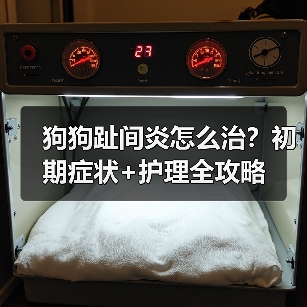 狗狗趾间炎怎么治?初期症状+护理全攻略(图1) 狗狗趾间炎怎么治?初期症状+护理全攻略(图1)