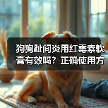 狗狗趾间炎用红霉素软膏有效吗?正确使用方法揭秘(图1) 狗狗趾间炎用红霉素软膏有效吗?正确使用方法揭秘(图1)