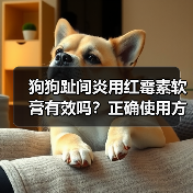 狗狗趾间炎用红霉素软膏有效吗?正确使用方法揭秘(图2) 狗狗趾间炎用红霉素软膏有效吗?正确使用方法揭秘(图2)