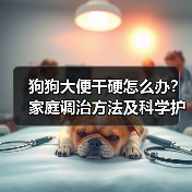 狗狗大便干硬怎么办?家庭调治方法及科学护理指南(图2) 狗狗大便干硬怎么办?家庭调治方法及科学护理指南(图2)