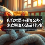 狗狗大便干硬怎么办?家庭调治方法及科学护理指南(图3) 狗狗大便干硬怎么办?家庭调治方法及科学护理指南(图3)