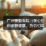 广州宠爱医院(关心您的宠物健康,为它们带来最好的护理)(图2) 广州宠爱医院(关心您的宠物健康,为它们带来最好的护理)(图2)
