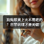 狗狗尿黄上火不用吃药?日常调理才是关键!(图2) 狗狗尿黄上火不用吃药?日常调理才是关键!(图2)