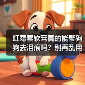 红霉素软膏真的能帮狗狗去泪痕吗?别再乱用了(图3) 红霉素软膏真的能帮狗狗去泪痕吗?别再乱用了(图3)