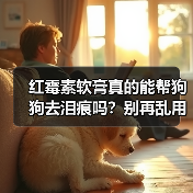 红霉素软膏真的能帮狗狗去泪痕吗?别再乱用了(图2) 红霉素软膏真的能帮狗狗去泪痕吗?别再乱用了(图2)