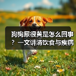 狗狗尿很黄是怎么回事?一文讲清饮食与疾病关联(图2) 狗狗尿很黄是怎么回事?一文讲清饮食与疾病关联(图2)