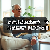 幼猫吐黄泡沫高烧,可能是猫瘟?紧急急救指南(图3) 幼猫吐黄泡沫高烧,可能是猫瘟?紧急急救指南(图3)