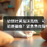幼猫吐黄泡沫高烧,可能是猫瘟?紧急急救指南(图1) 幼猫吐黄泡沫高烧,可能是猫瘟?紧急急救指南(图1)