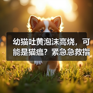 幼猫吐黄泡沫高烧,可能是猫瘟?紧急急救指南(图4) 幼猫吐黄泡沫高烧,可能是猫瘟?紧急急救指南(图4)