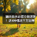 猫吐血水必须立刻送医!这4种情况千万别等(图2) 猫吐血水必须立刻送医!这4种情况千万别等(图2)