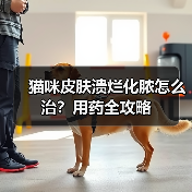 猫咪皮肤溃烂化脓怎么治?用药全攻略(图2) 猫咪皮肤溃烂化脓怎么治?用药全攻略(图2)