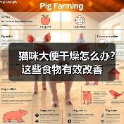 猫咪大便干燥怎么办?这些食物有效改善(图2) 猫咪大便干燥怎么办?这些食物有效改善(图2)