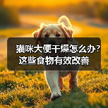 猫咪大便干燥怎么办?这些食物有效改善(图1) 猫咪大便干燥怎么办?这些食物有效改善(图1)