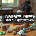 狗狗眼睛发红有眼屎怎么办?正确处理方法全解析(图2) 狗狗眼睛发红有眼屎怎么办?正确处理方法全解析(图2)