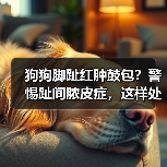 狗狗脚趾红肿鼓包？警惕趾间脓皮症，这样处理能缓解！