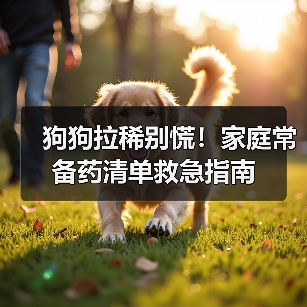 狗狗拉稀别慌!家庭常备药清单救急指南(图1) 狗狗拉稀别慌!家庭常备药清单救急指南(图1)