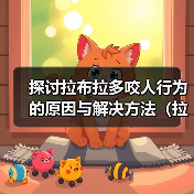 探讨拉布拉多咬人行为的原因与解决方法(拉布拉多咬人行为分析及正确引导方法)(图1) 探讨拉布拉多咬人行为的原因与解决方法(拉布拉多咬人行为分析及正确引导方法)(图1)