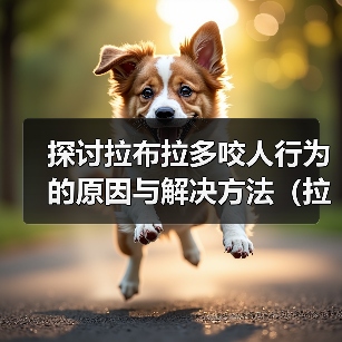 探讨拉布拉多咬人行为的原因与解决方法(拉布拉多咬人行为分析及正确引导方法)(图2) 探讨拉布拉多咬人行为的原因与解决方法(拉布拉多咬人行为分析及正确引导方法)(图2)