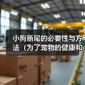 小狗断尾的必要性与方法(为了宠物的健康和安全,断尾是必要的)(图2) 小狗断尾的必要性与方法(为了宠物的健康和安全,断尾是必要的)(图2)