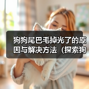 狗狗尾巴毛掉光了的原因与解决方法（探索狗狗尾巴毛掉光的成因以及有效解决方案）
