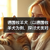 德国牧羊犬（以德国牧羊犬为例，探讨犬类对主人的保护本能）（图2）