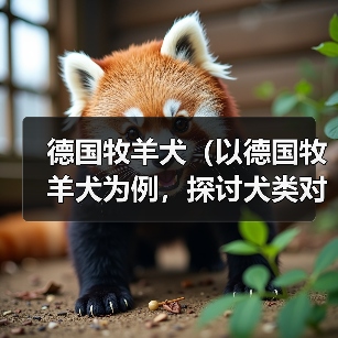 德国牧羊犬（以德国牧羊犬为例，探讨犬类对主人的保护本能）（图4）