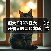 细犬并非烈性犬!(揭开细犬的温和本质,告别误解与偏见)(图3) 细犬并非烈性犬!(揭开细犬的温和本质,告别误解与偏见)(图3)