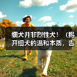 细犬并非烈性犬!(揭开细犬的温和本质,告别误解与偏见)(图1) 细犬并非烈性犬!(揭开细犬的温和本质,告别误解与偏见)(图1)