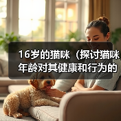 16岁的猫咪(探讨猫咪年龄对其健康和行为的影响)(图3) 16岁的猫咪(探讨猫咪年龄对其健康和行为的影响)(图3)