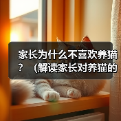 家长为什么不喜欢养猫?(解读家长对养猫的疑虑和顾虑)(图4) 家长为什么不喜欢养猫?(解读家长对养猫的疑虑和顾虑)(图4)