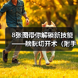 8张图带你解锁新技能——膀胱切开术（附手术视频）（图3）