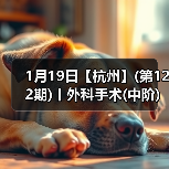 1月19日【杭州】(第122期)丨外科手术(中阶)实战班，2人/组提供一猫一狗，实操超多！（图4）