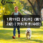 1月19日【杭州】(第122期)丨外科手术(中阶)实战班，2人/组提供一猫一狗，实操超多！（图3）