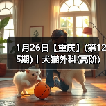 1月26日【重庆】(第125期)丨犬猫外科(高阶)班！含SUB(人人可实操)、乳糜胸等技术！