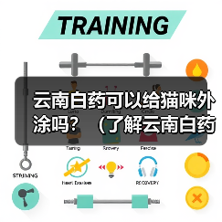 云南白药可以给猫咪外涂吗？（了解云南白药的使用方法和注意事项，保护猫咪的健康）（图2）