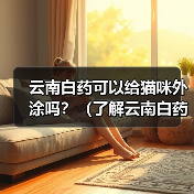 云南白药可以给猫咪外涂吗？（了解云南白药的使用方法和注意事项，保护猫咪的健康）（图3）