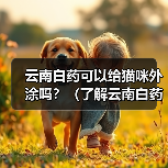 云南白药可以给猫咪外涂吗？（了解云南白药的使用方法和注意事项，保护猫咪的健康）（图4）