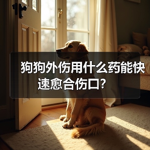 狗狗外伤用什么药能快速愈合伤口?(图2) 狗狗外伤用什么药能快速愈合伤口?(图2)
