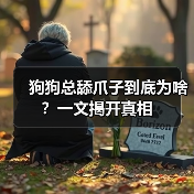 狗狗总舔爪子到底为啥?一文揭开真相(图2) 狗狗总舔爪子到底为啥?一文揭开真相(图2)