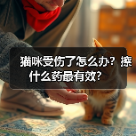 猫咪受伤了怎么办?擦什么药最有效?(图2) 猫咪受伤了怎么办?擦什么药最有效?(图2)